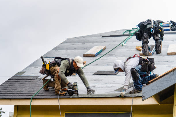 Professional Roofing technician working in Woolwine, VA
